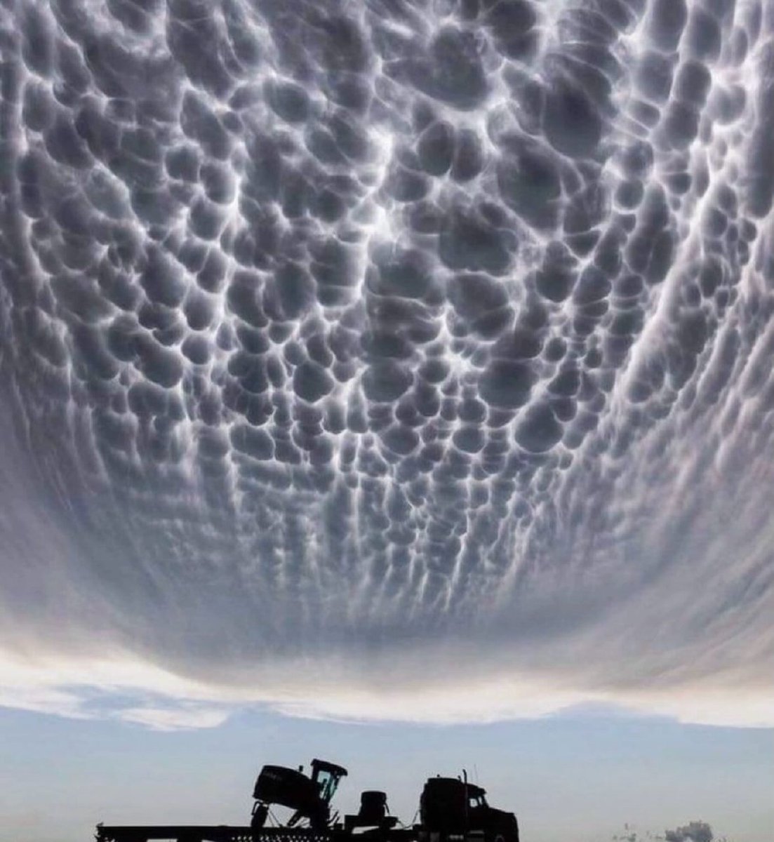 Rohit Mishra tweet media