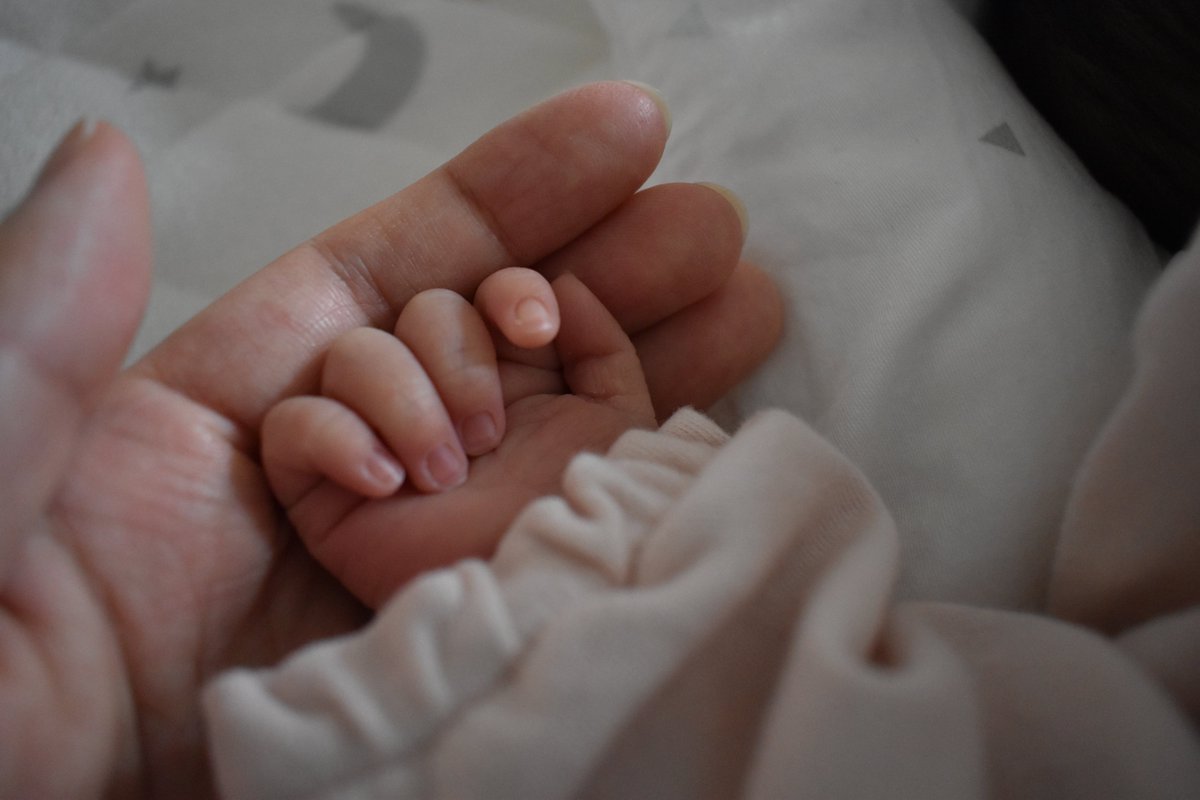 いるかアイス🐬🍨#天藍のアイスヘヴン tweet media