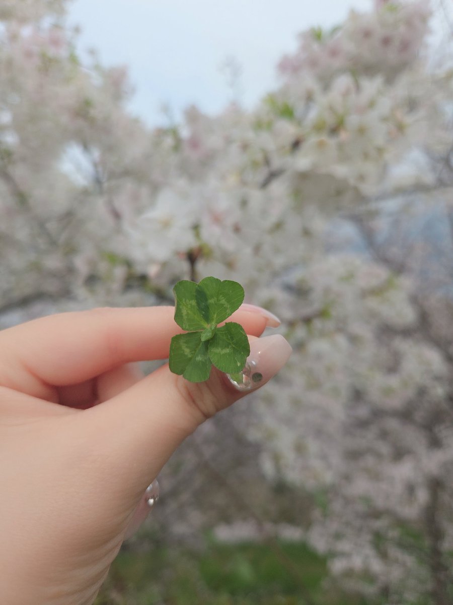 はっけ🀄☯️@DMMぱちタウン tweet media