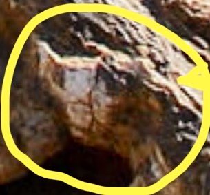 New Reformed Gnosticism tweet media