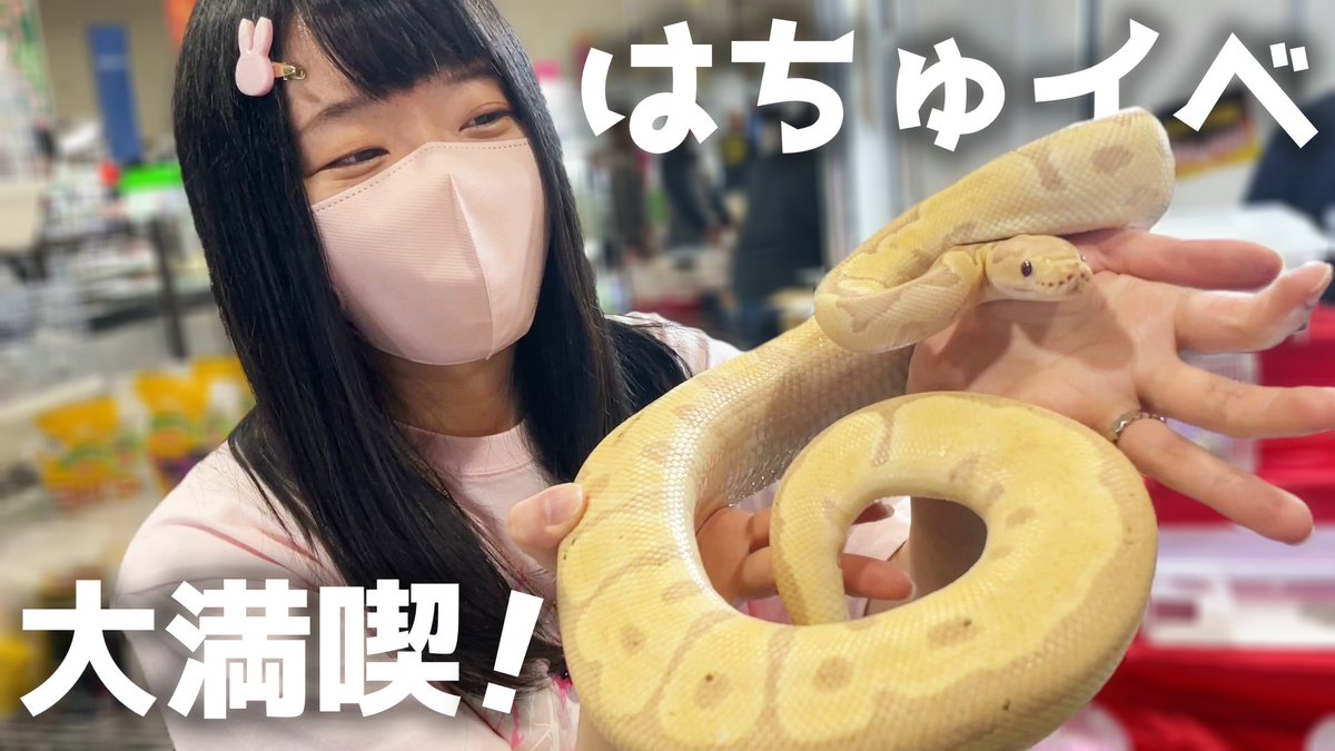 あらぶる動物園@ふぇあ太郎 tweet media