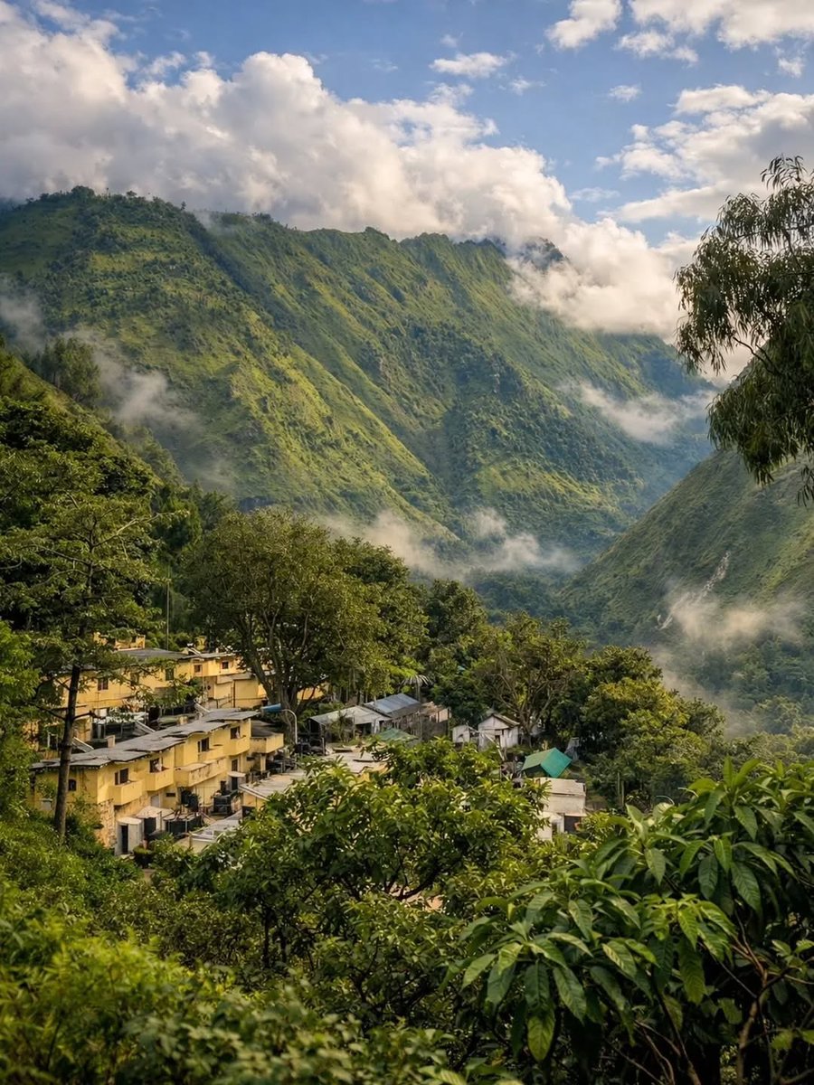 Go Uttarakhand tweet media