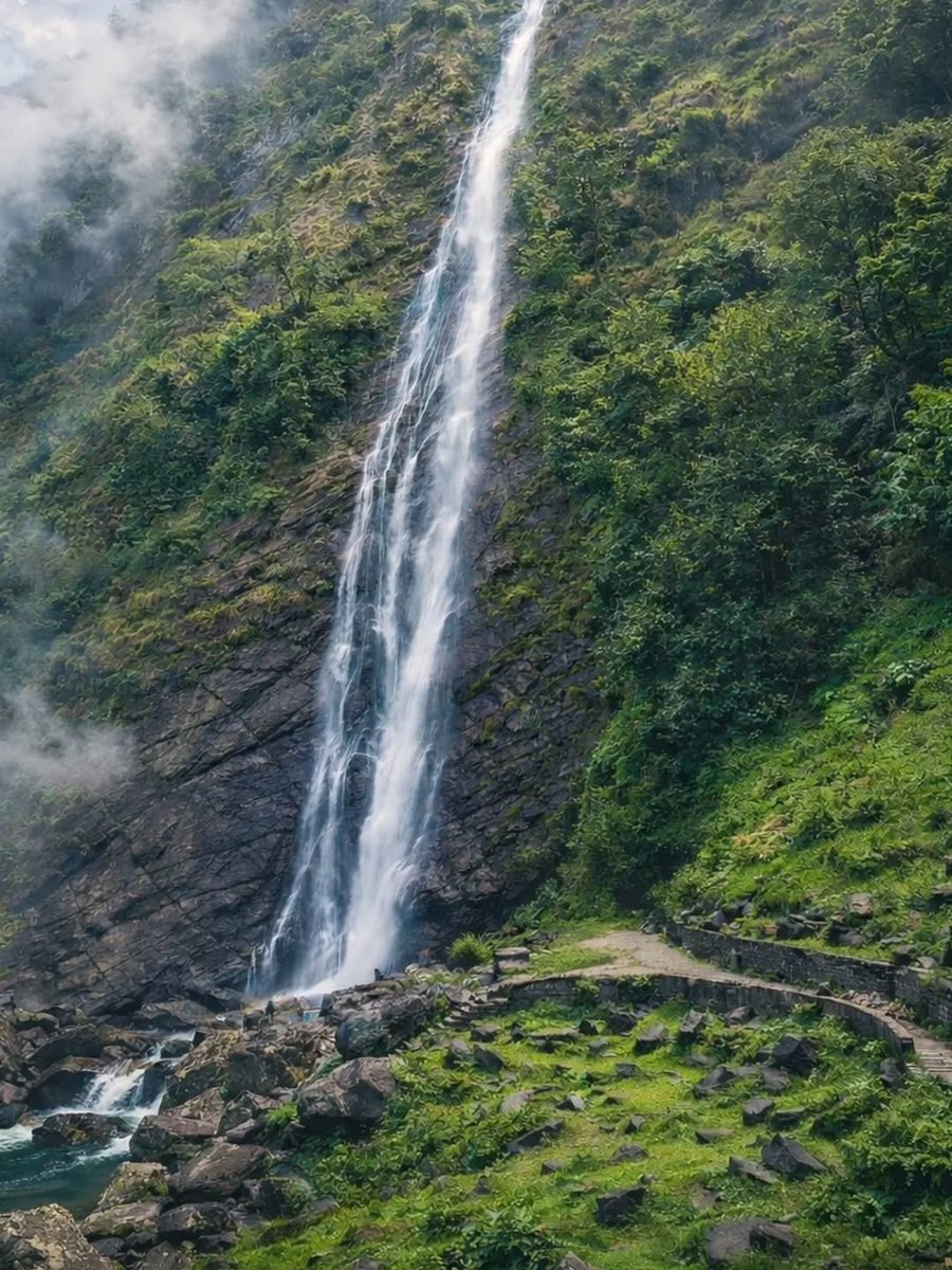 Go Uttarakhand tweet media