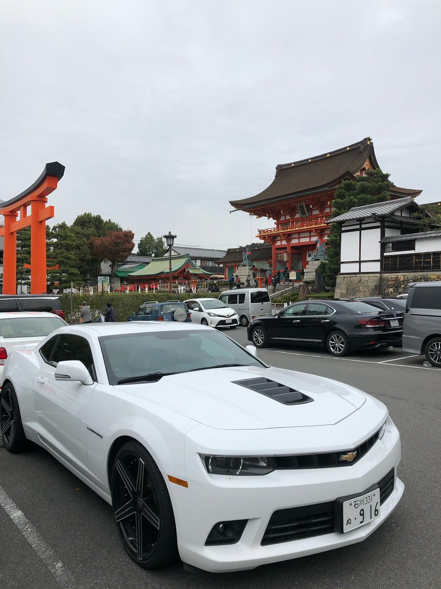 キウイボーイズ tweet media