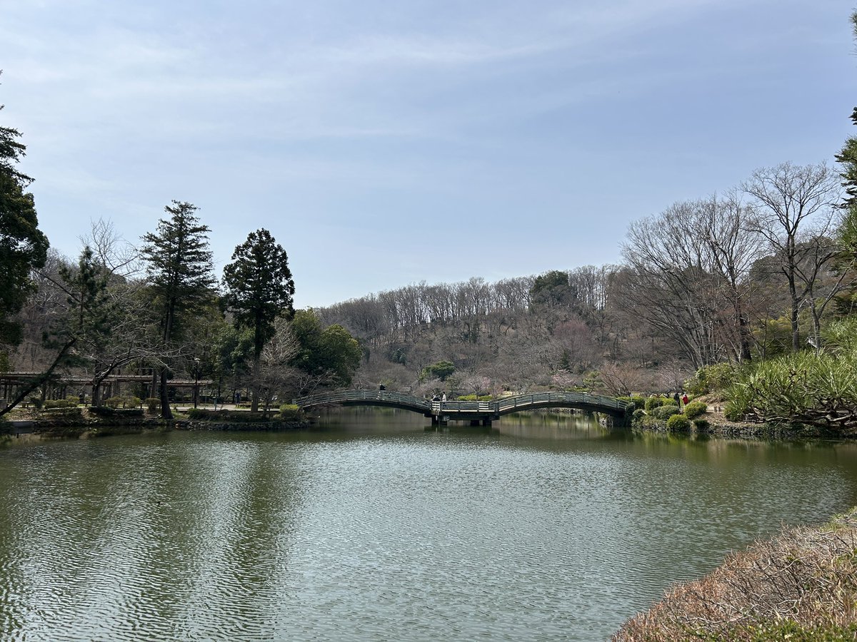 vv_butterfly_vv's tweet photo. #44apartment #薬師池公園 https://t.co/0x0enhci23