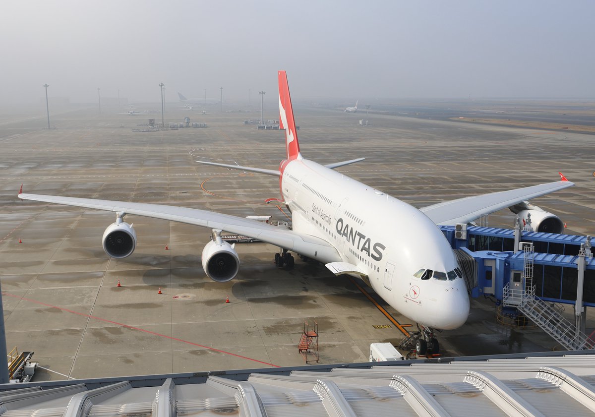 DALLYKEN's tweet image. カンガルー釣りしてきました。
#RJGG #NGO #カンタス #セントレア