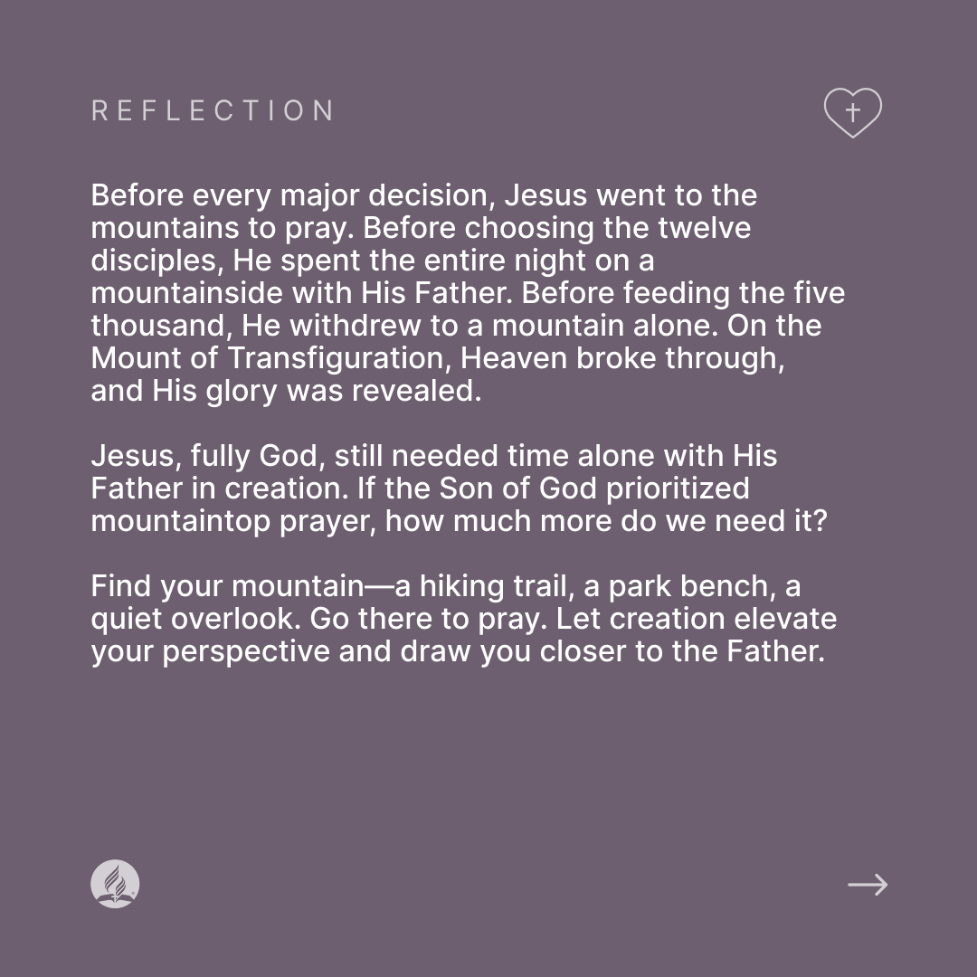 Adventist Church tweet media