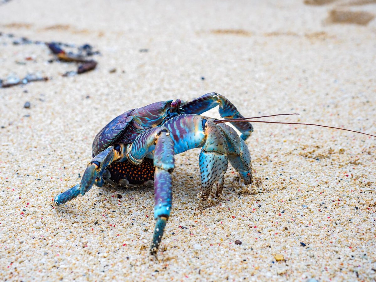 #これだけで何のアニメかわかった人は猛者 