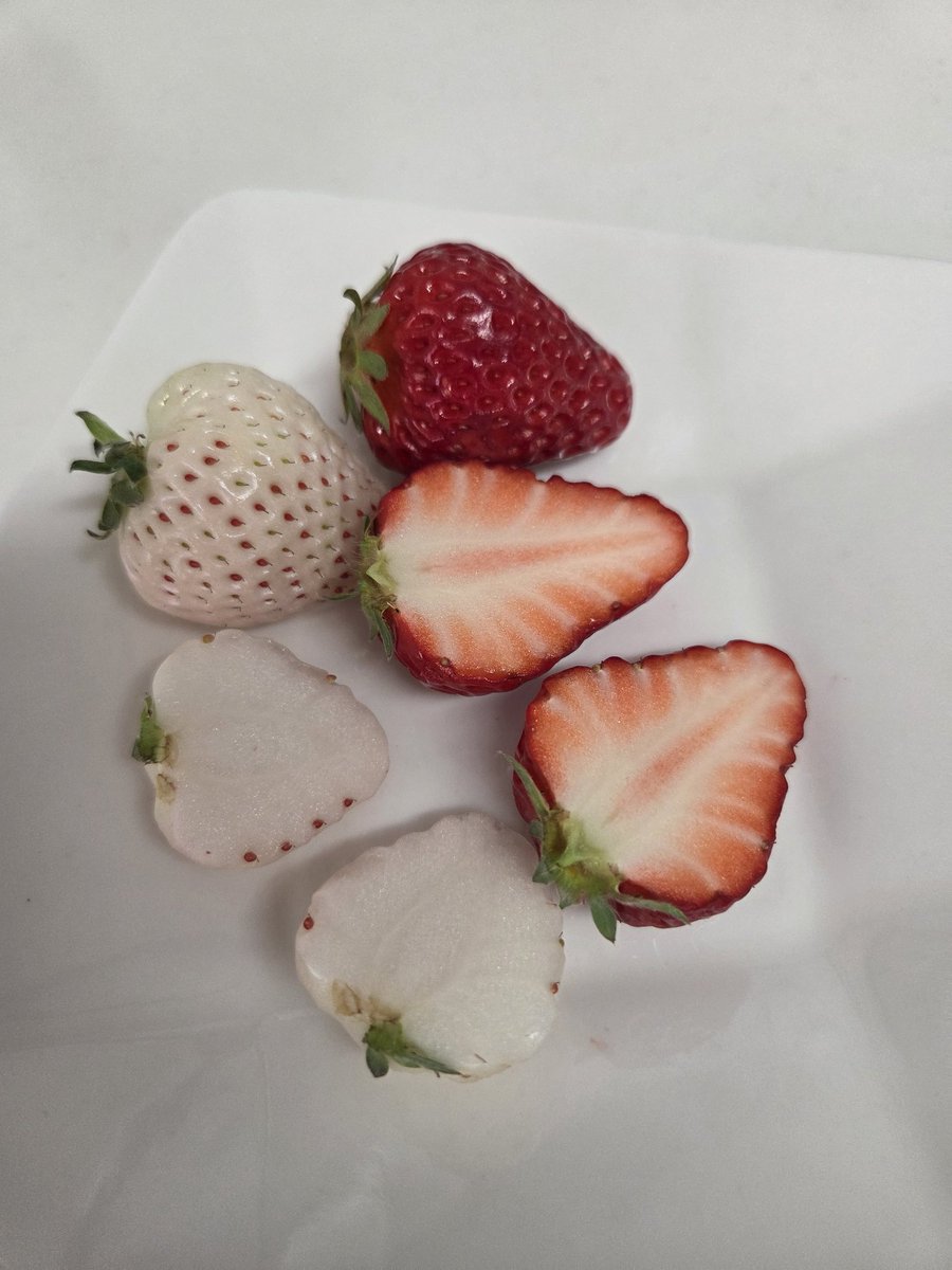 Mari 50s tweet media