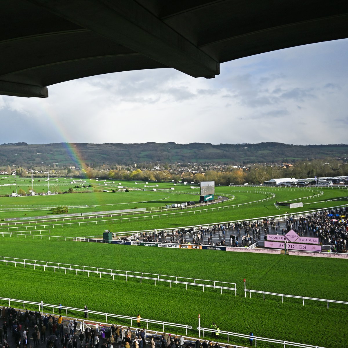 At The Races tweet media