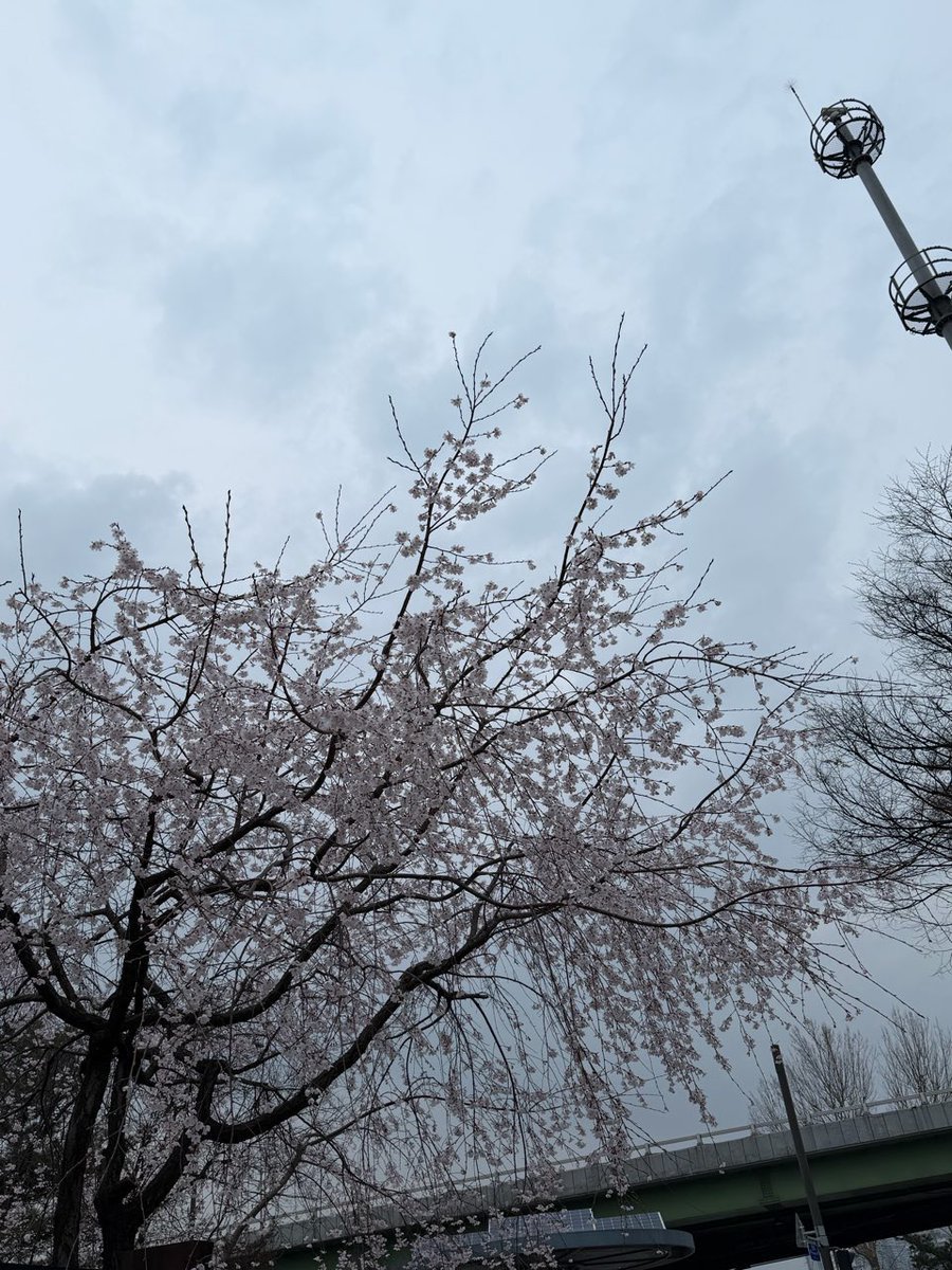 MONSTA X BASE tweet media