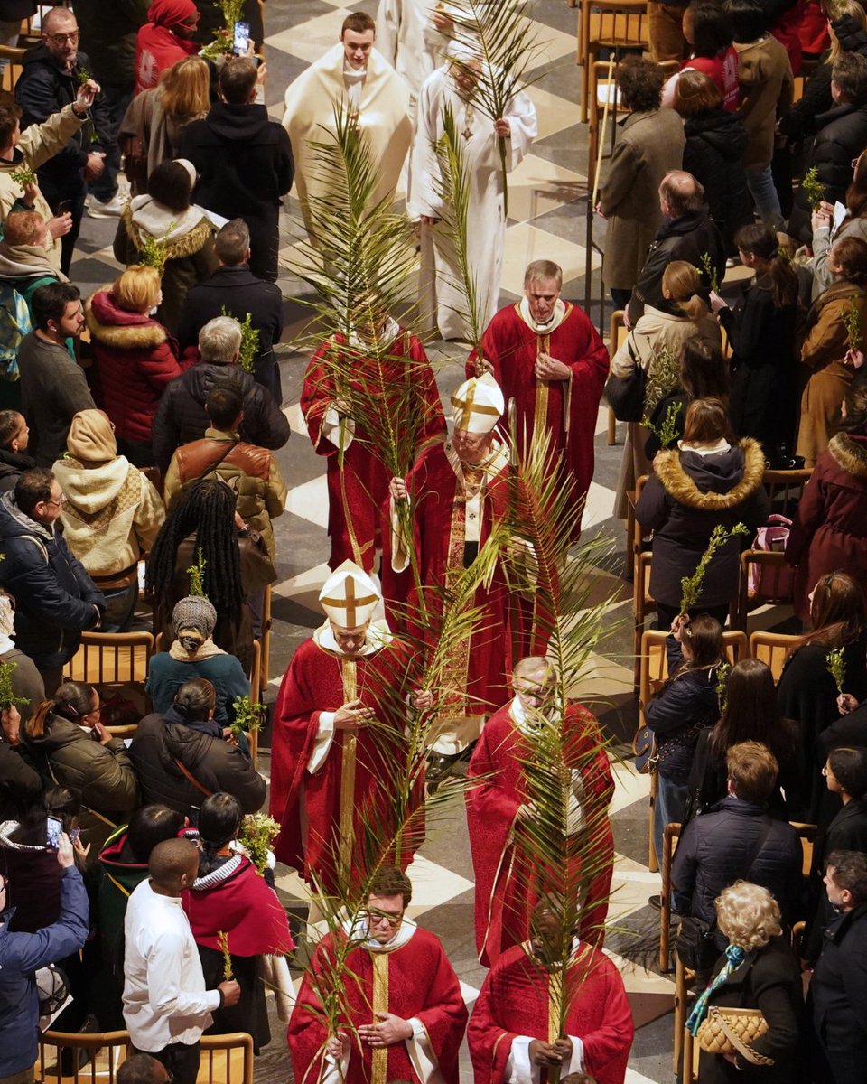 Cathédrale Notre-Dame de Paris tweet media