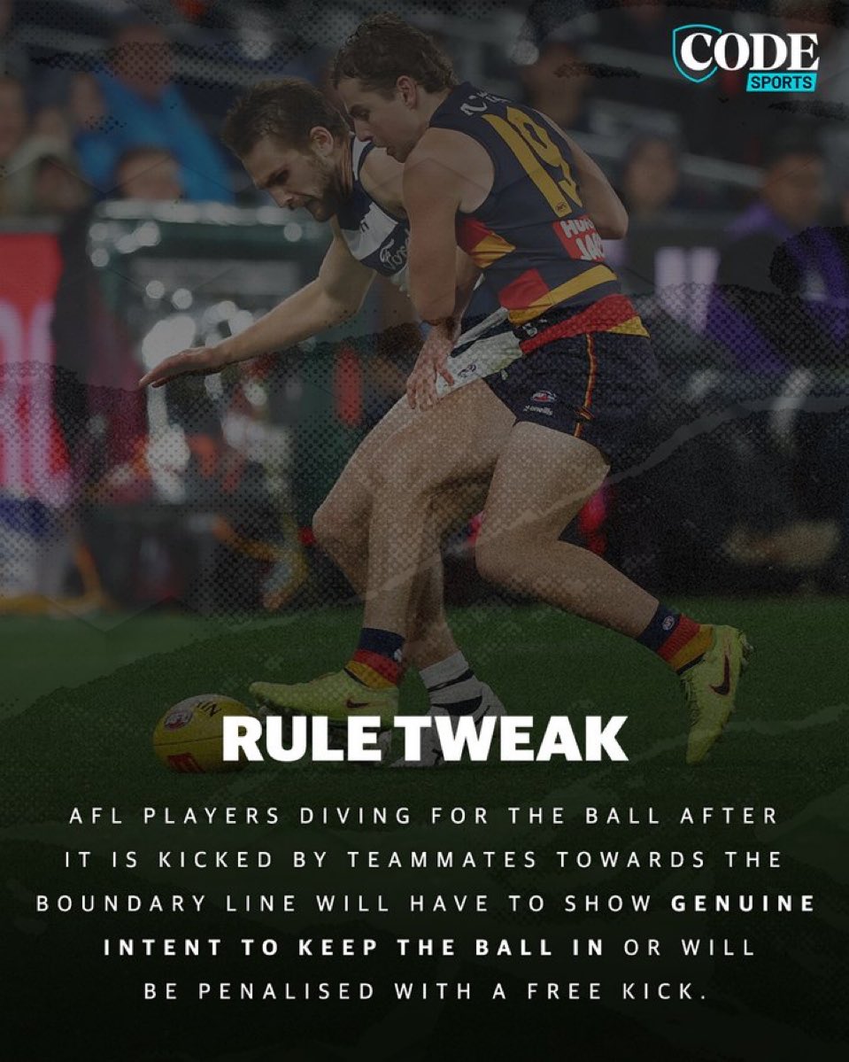 Crickettragic tweet media