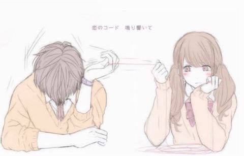 こちゃん🐾 tweet media