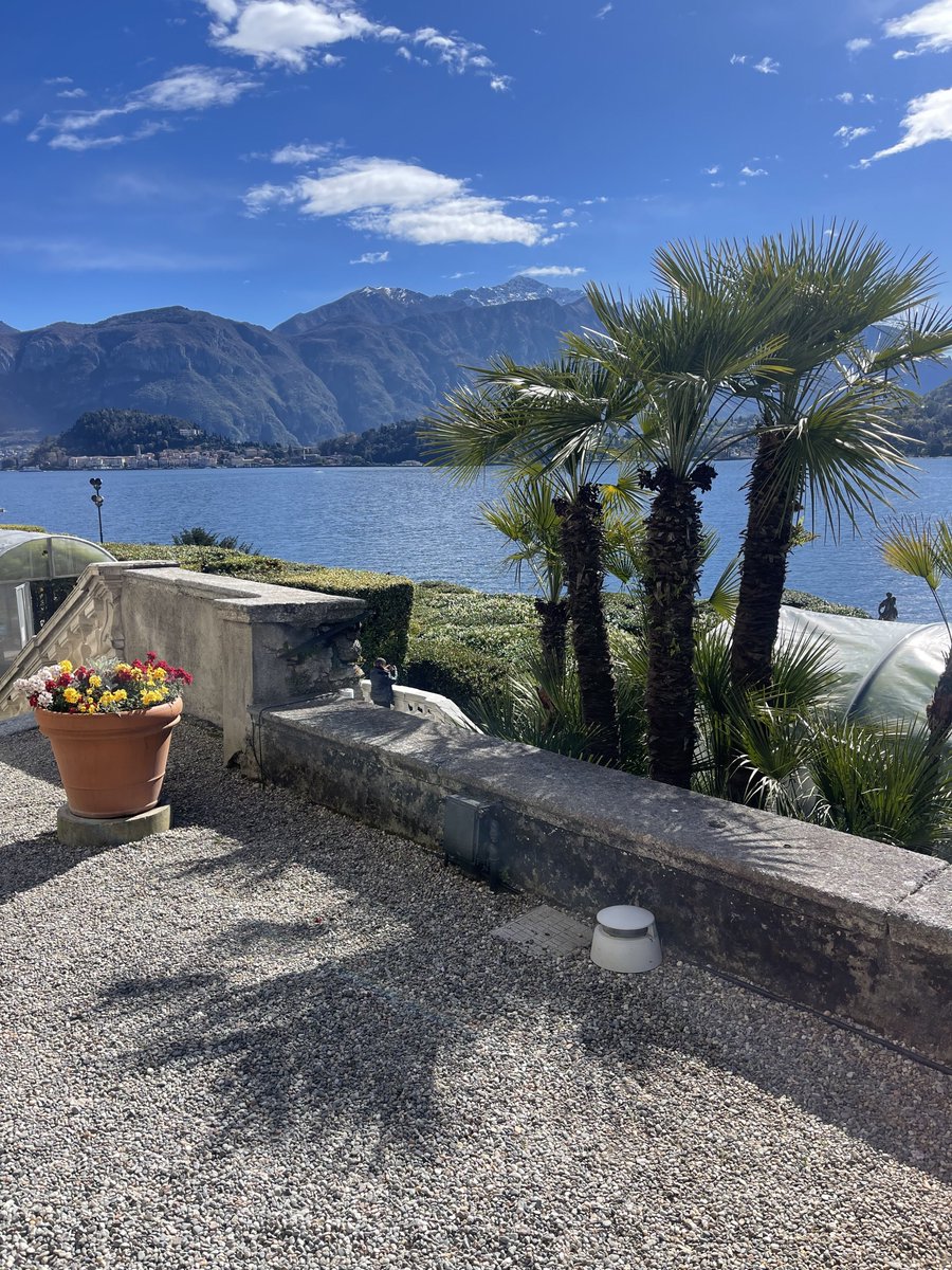 GardinerIslandCapital tweet media