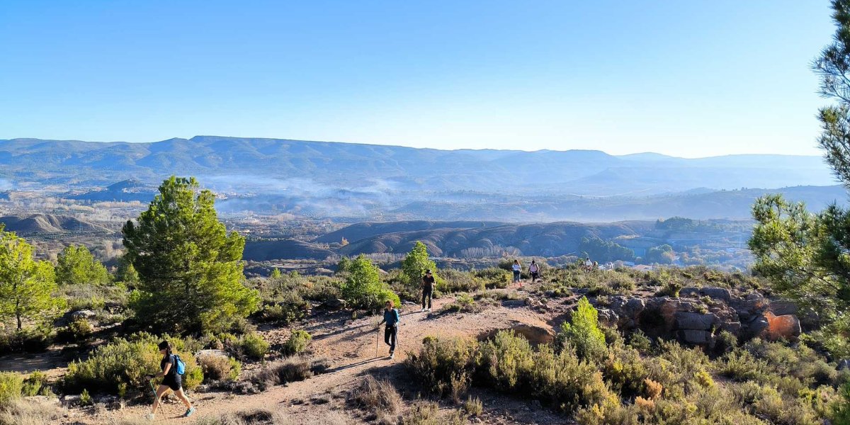 Region of Valencia tweet media