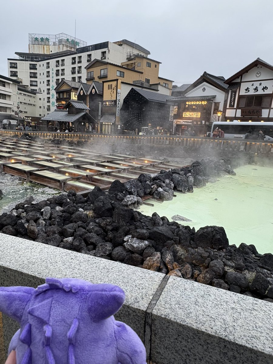 ゆねぴりか tweet media