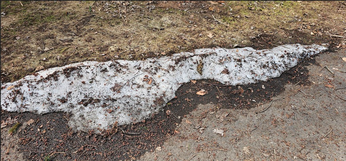 Kevin Williams tweet media