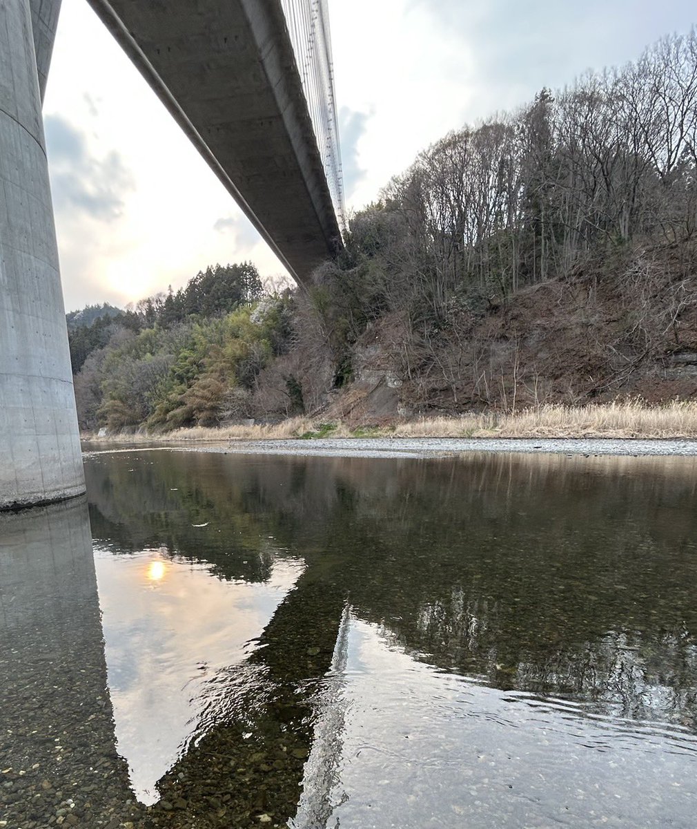 よっしー tweet media