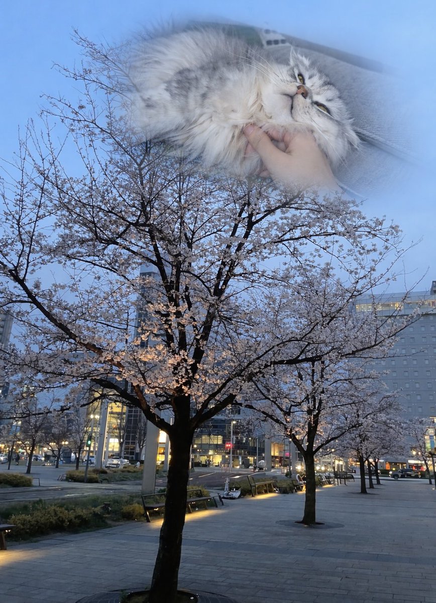 びっぱ tweet media