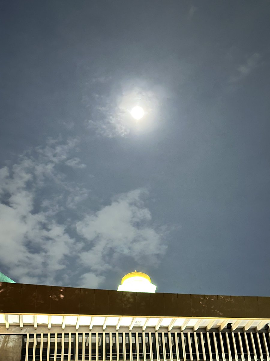 しぇー tweet media