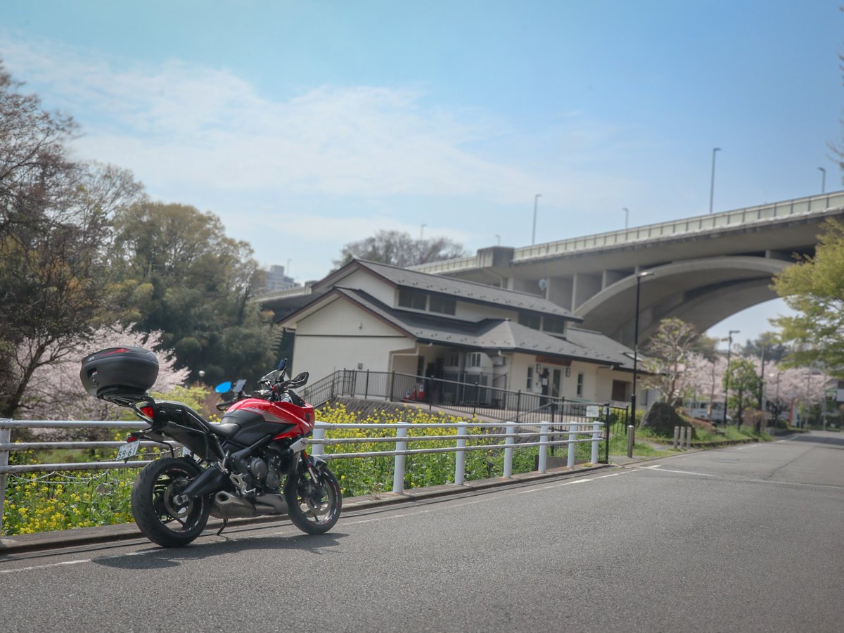 翔 ᒼᑋªⁿ tweet media