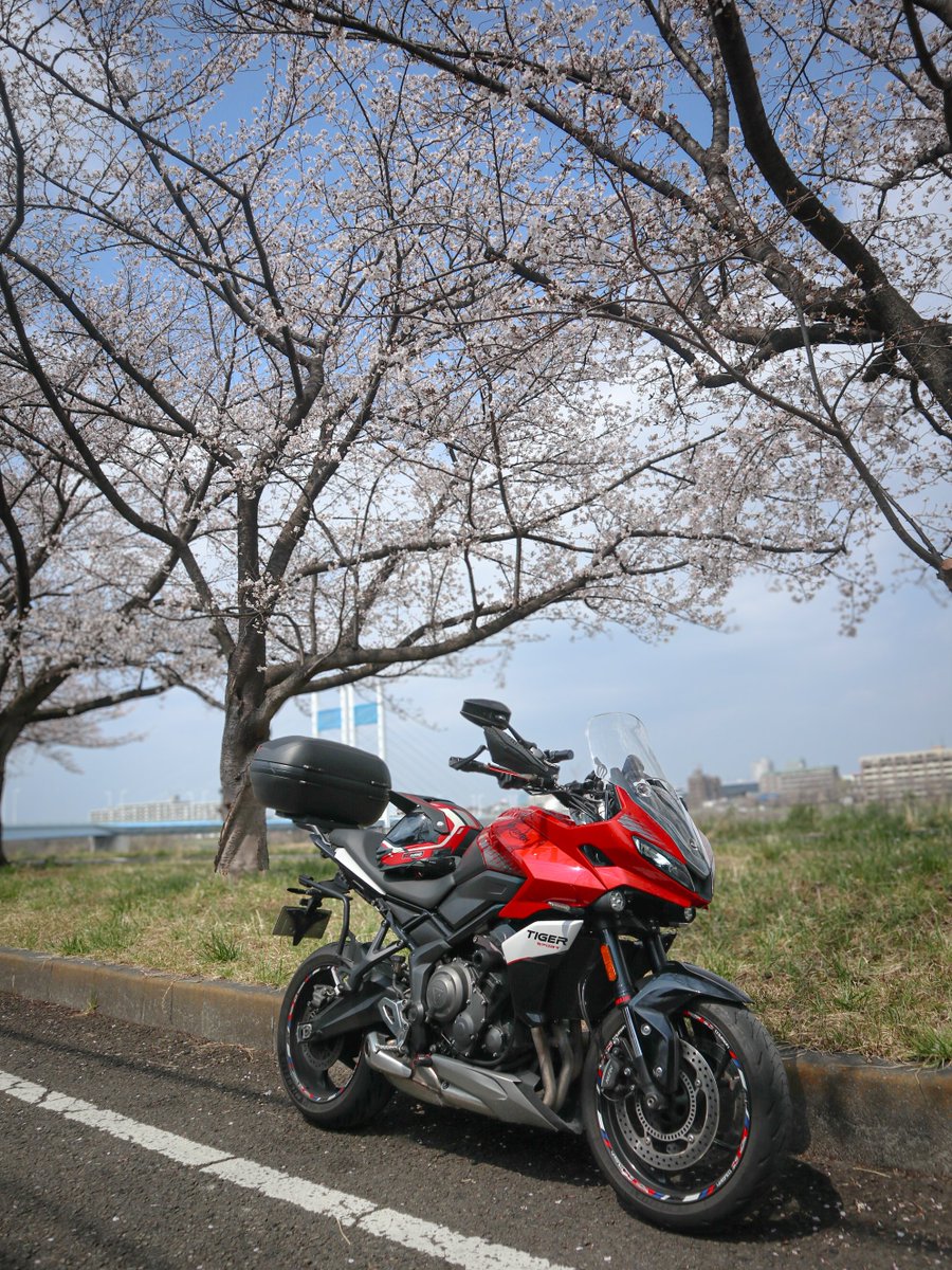 翔 ᒼᑋªⁿ tweet media