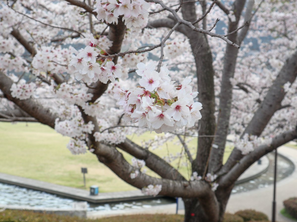 翔 ᒼᑋªⁿ tweet media