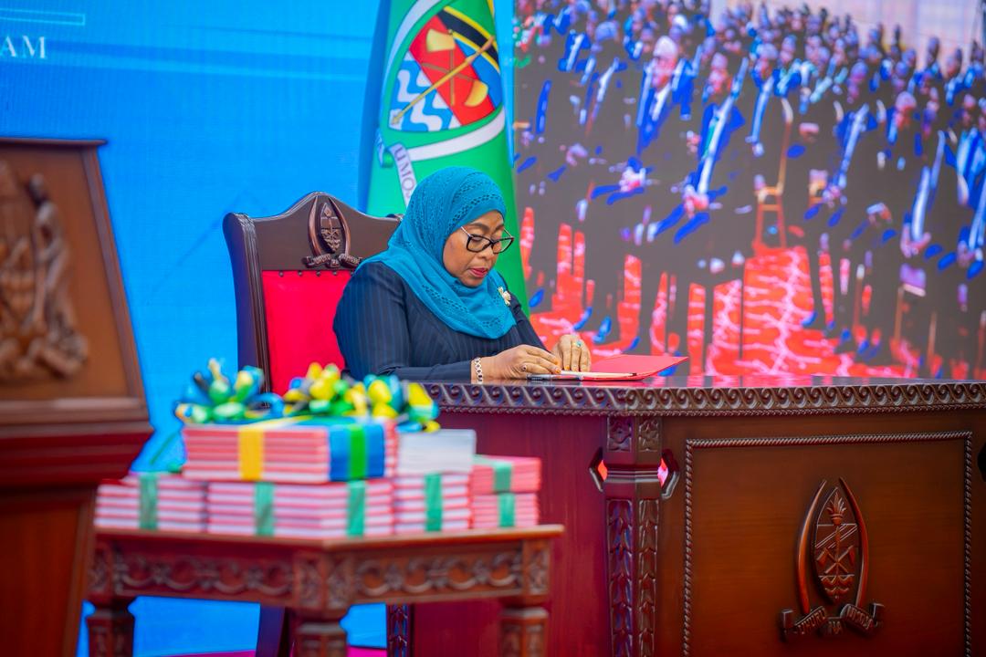 Nyani Ngabu tweet media