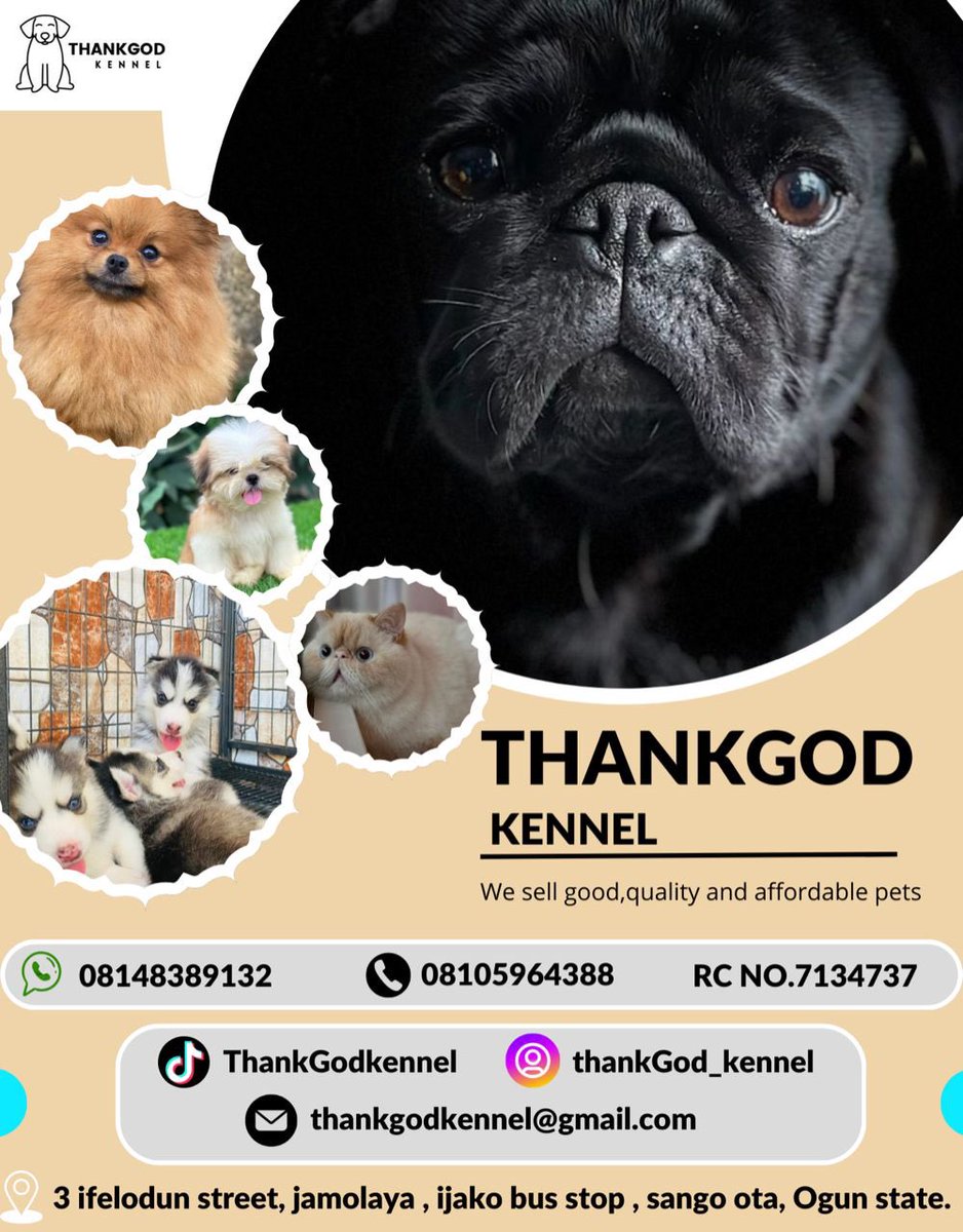 <a href="/ruffydfire/">oseni rufai</a>