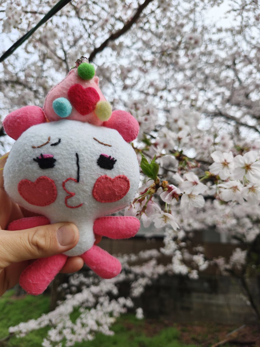 にんチュー🧄🐼グループ tweet media