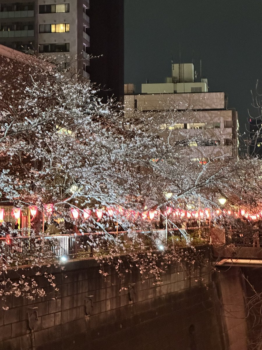 4amintokyo's tweet photo. 夜に花見しに中目行ったけど人でそれどころじゃなかったご飯美味しかったからいいけど https://t.co/PDO1vk1D9z