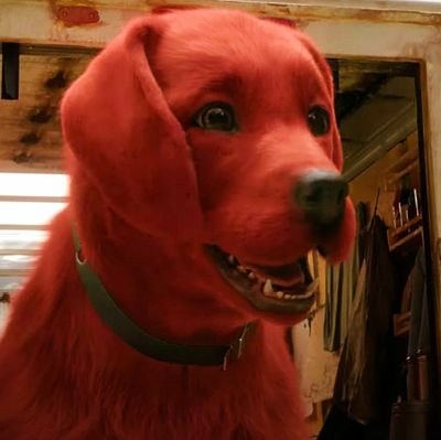 Msc.Majambere Protais tweet media