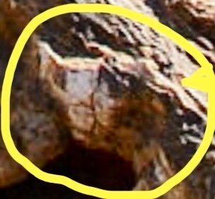 New Reformed Gnosticism tweet media