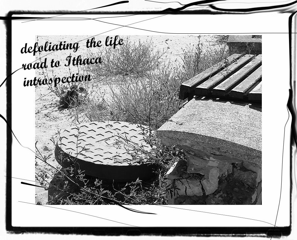 haiga/4q19

defoliind viața
drum spre Itaca
introspecție