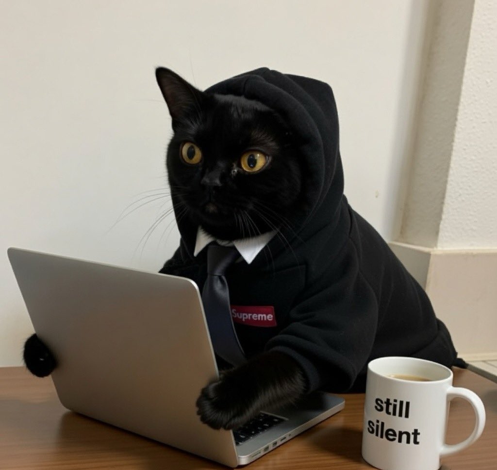 BoltBoy Alpha ⚡️ tweet media