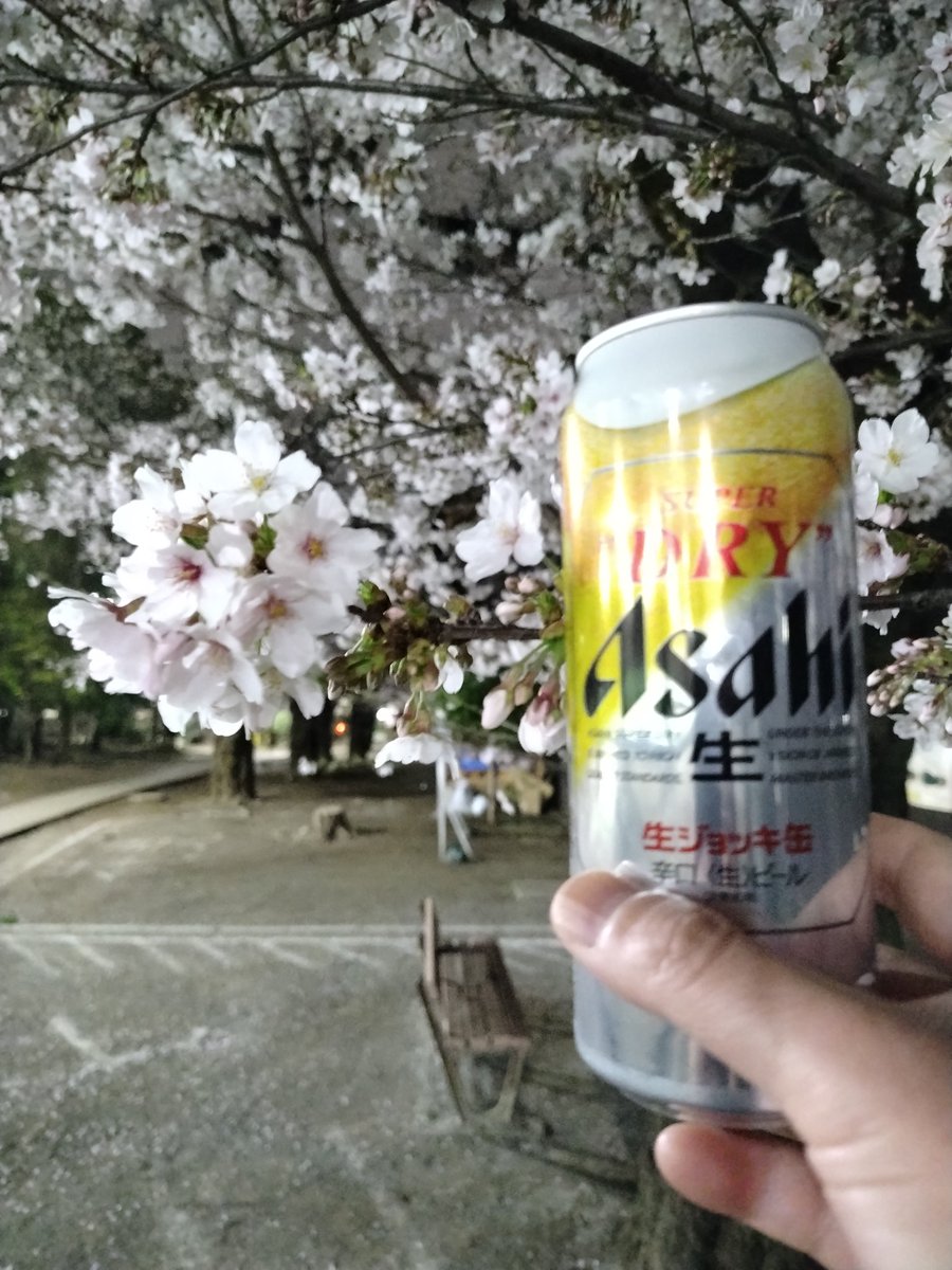 夜桜にビール！
日本に産まれて良かったと思う瞬間！
#桜
#花見
#夜桜
#ビール