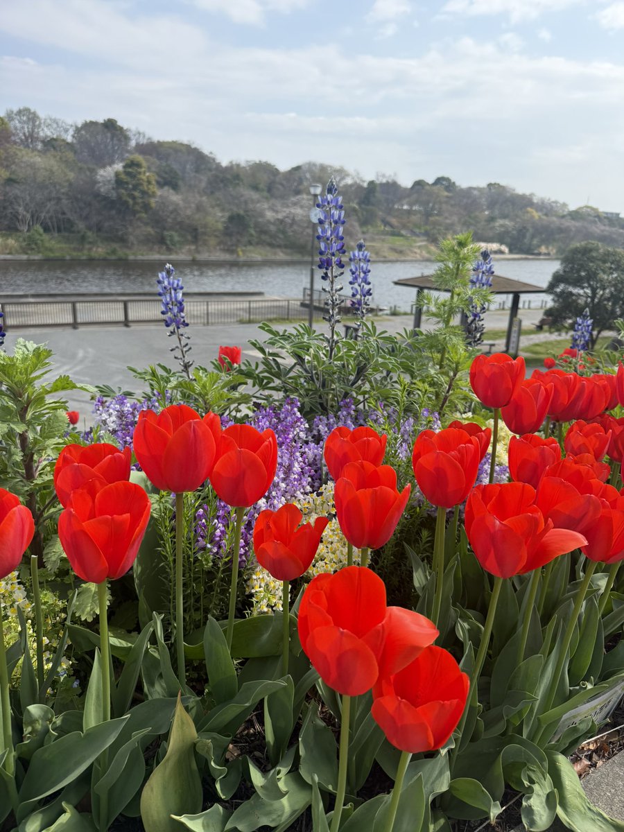 Tsuguyo Fuchita tweet media