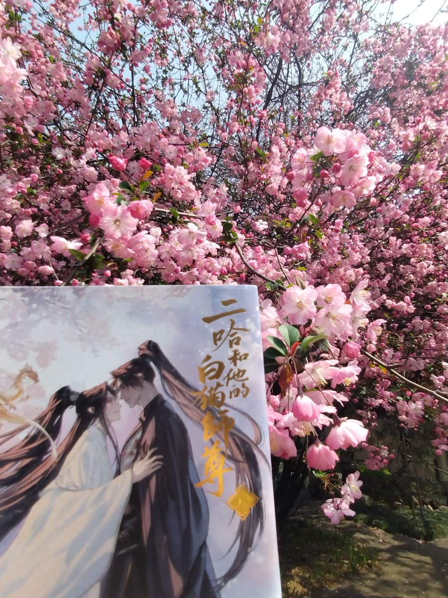 海棠を求めて谷中をお散歩。
満開の海棠はずっと見ていたいほど、美しかった✨️
#二哈和他的白猫师尊
#2ha