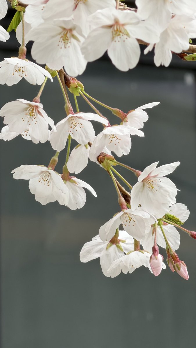 🍝해파☃️ tweet media