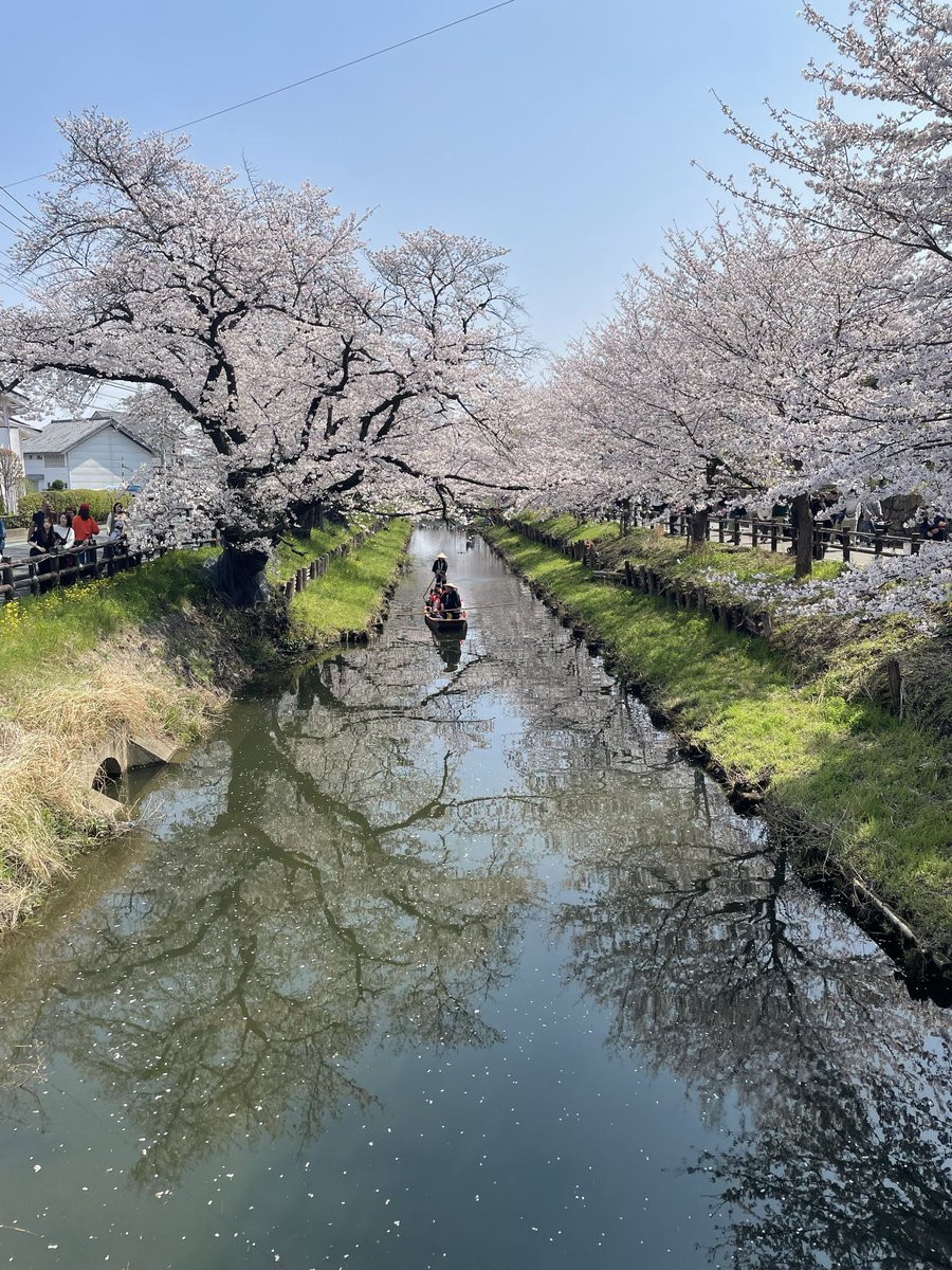 ろっしー tweet media