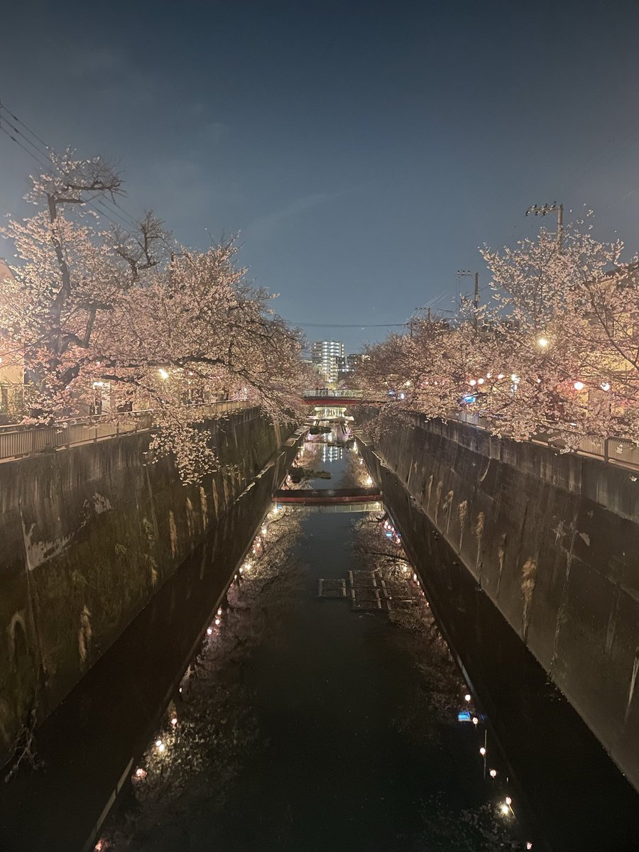 ろっしー tweet media