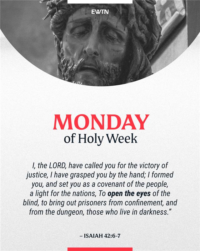 EWTN Global Catholic Network tweet media