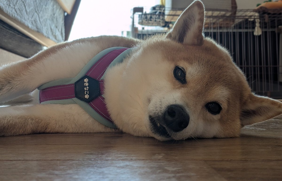 ゼロ、未来見して(相澤YT) tweet media