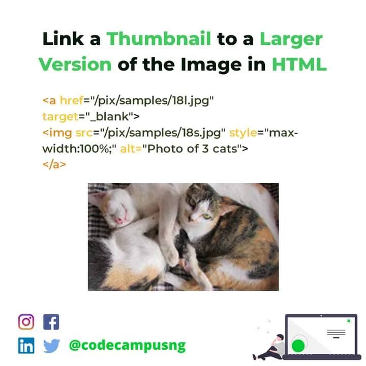 Code Campus tweet media
