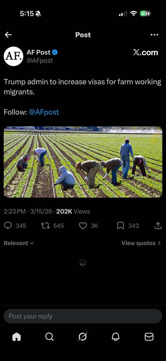 American Nationalist🇻🇮🇺🇸 tweet media