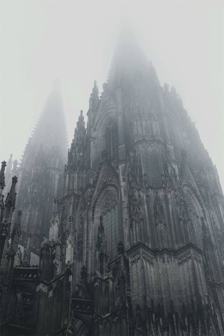 dyeordie tweet media