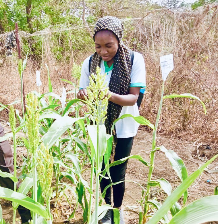 sere_aida's tweet image. La semence est le premier facteur de production. Elle seule contribue à 40% au rendement .
#semencesvegetales
#Agriculture
#Securitéalimentaire