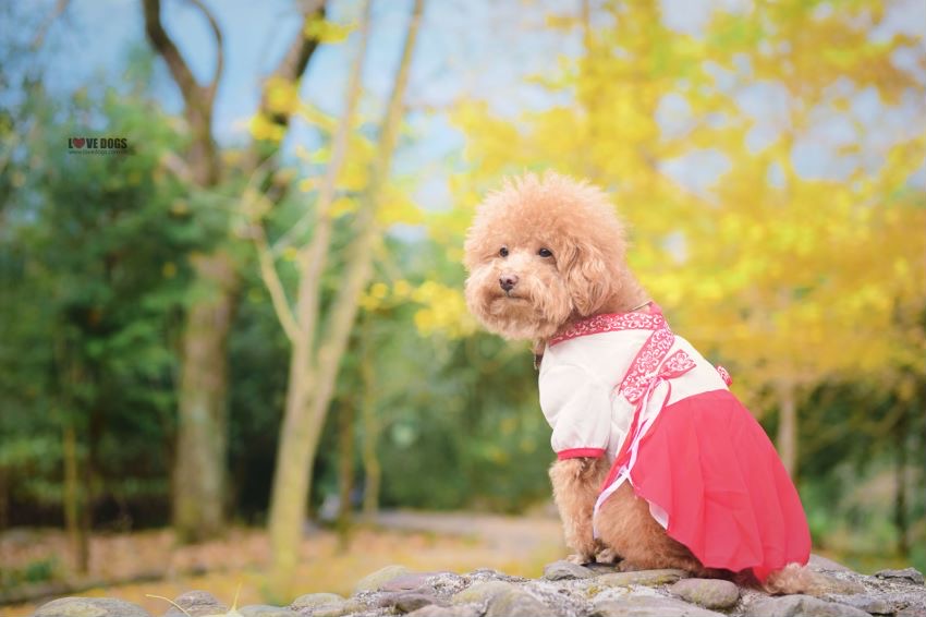 Ashley lee | UGC Creator tweet media