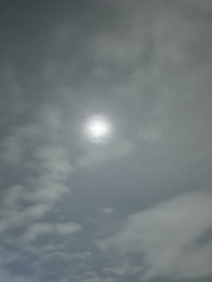 りん🌸 tweet media